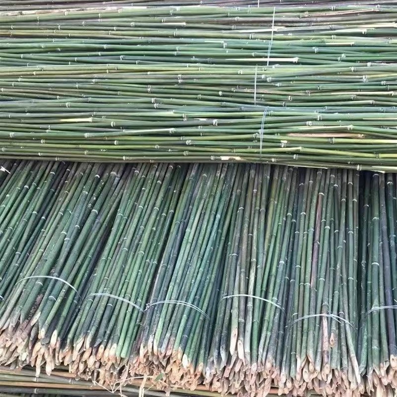 小竹子蔬菜爬藤竹杆架豆角黄x瓜番茄农用架彩旗杆细竹竿栅栏架杆
