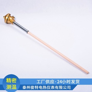 铂铑热电偶 WRR-130 无固定装置 1600度铂铑热电偶 S分度号