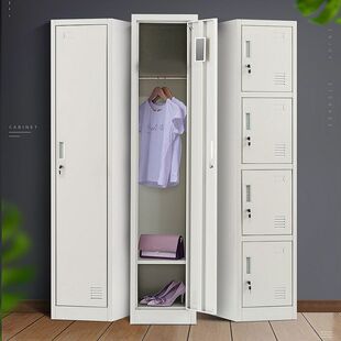 2026单门更衣柜钢制双人铁皮柜员工宿舍家用收纳储物鞋柜窄小夹缝