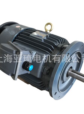 AEVP160M-4I-11KW-15HP台湾马达LICNAG CHI MOTOR