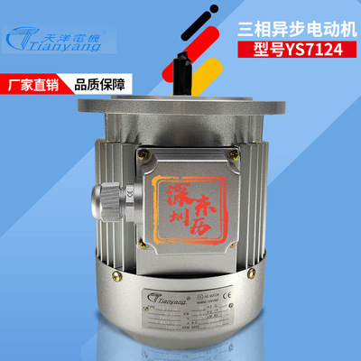 天洋电机YS7124立式B5法兰安装 3~AS.MOTOR 0.37KW 380V马达
