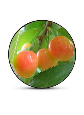 LEDdisplay圆形无边户外led显示屏防水P2.5企业品牌logo广告屏幕