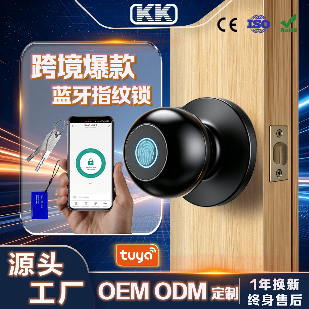 跨境智能锁涂鸦通通家用指纹球锁球形指纹家用室内房门锁涂鸦APP