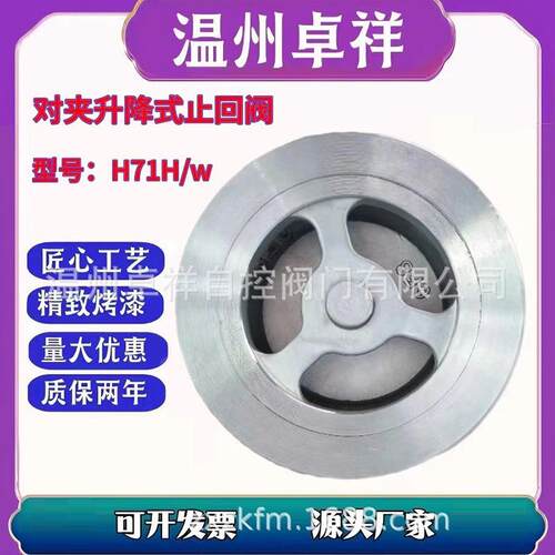 铸钢对夹升降止回阀H71W/H-16C/P蝶式止回阀对夹止回阀