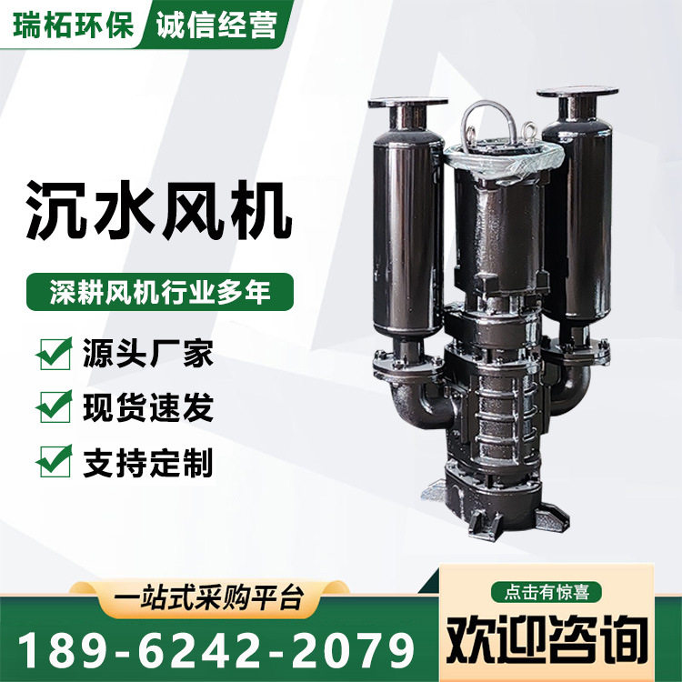 瑞柘环保RZSW8055沉水式鼓风机污水处理罗茨风机提供安装