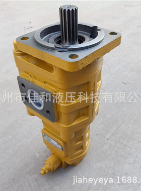 临工装载机配套齿轮泵CBGj3100/1010-XF左矩