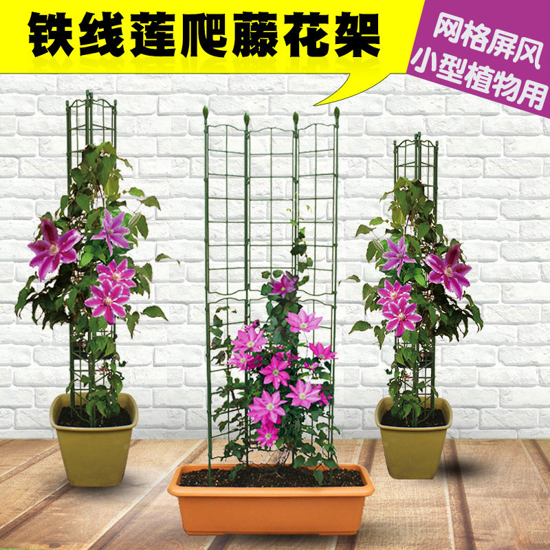 花架爬藤架铁线莲架子铁