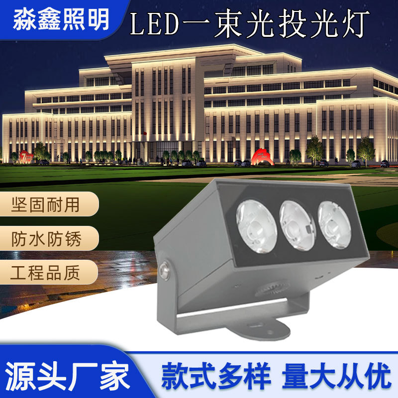 户外防水led射灯建筑墙面柱子桥梁亮化一束光聚光LED超亮高效节能