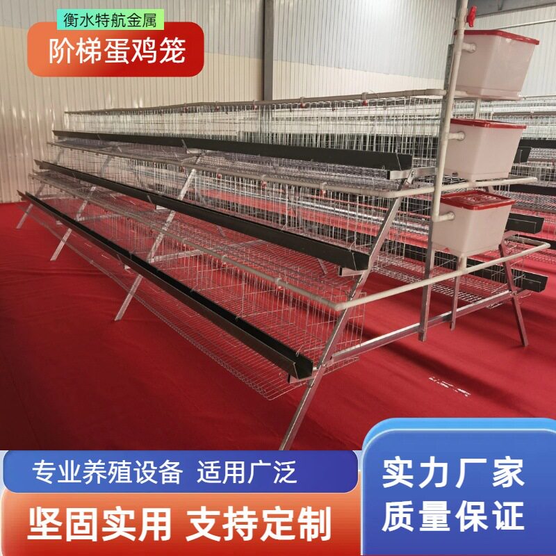 阶梯蛋鸡笼三层四层多层镀锌丝鸡笼子 A字型层叠蛋鸡笼养殖场
