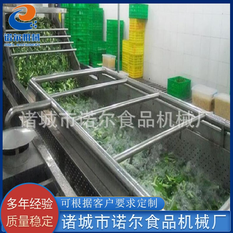 连翘清洗机设备 全自动草莓气泡清洗机设备 海鲜菇清洗机设备