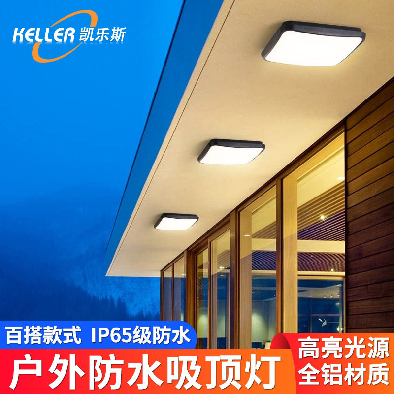户外防水吸顶灯人体感应入户大门别墅阳台走廊楼梯民宿三防吸顶灯