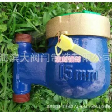 上海滨大阀门立式湿式 液封LXSL-15~25E/F 家用水表