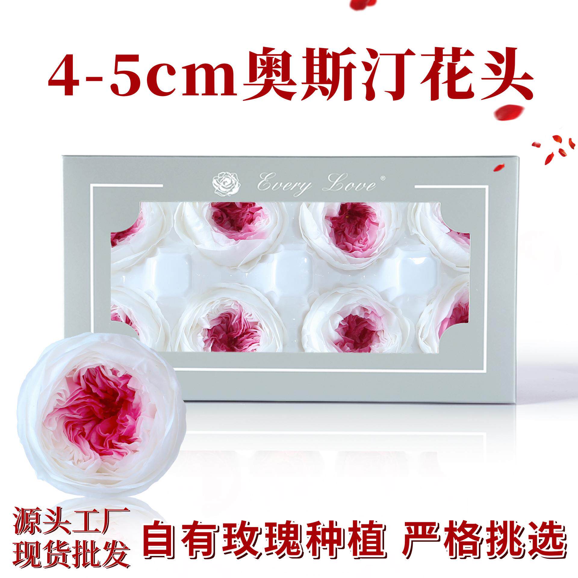 0永生花玫瑰花奥斯汀8朵装高级感礼品diy材料干花巧克力泡泡