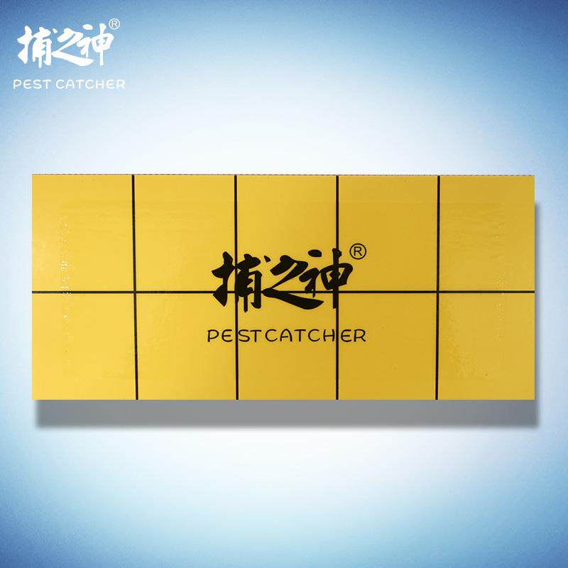 捕之神粘捕式灭蚊蝇灯粘纸粘虫纸贴纸双层能用2次（1件10张）现货