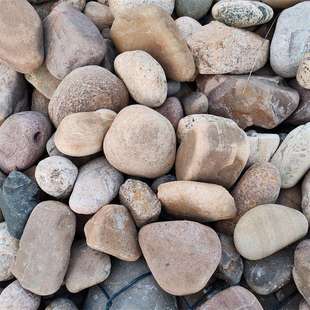 鹅卵石电厂变压器用5-8公分河卵石人工湖河滩路面铺设鹅卵石厂家