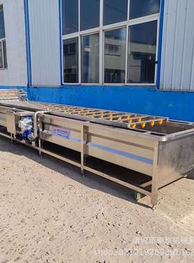 钙果气泡清洗机椰枣自动清洗设备雪梨清洗榨汁生产线杨桃清洗线