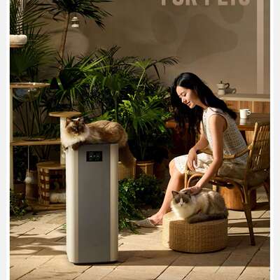 352空气净化器宠物款杀菌消毒除臭家用室内空气净化器 X63pet