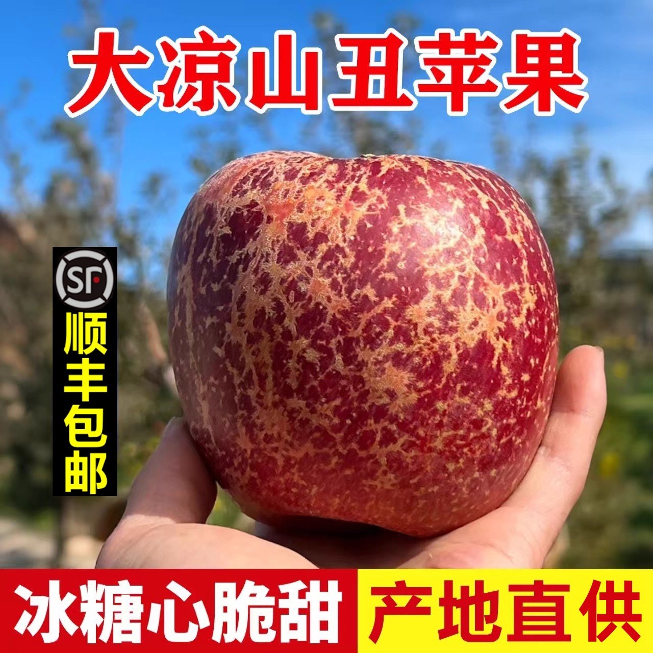 正宗四川大凉山丑苹果新鲜水果大冰糖心盐源苹果整箱10斤礼盒顺丰,水产肉类/新鲜蔬果/熟食,苹果,淘宝优惠券,粉丝福利购,淘宝优惠卷