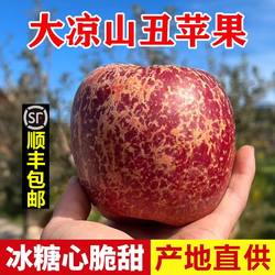 正宗四川大凉山丑苹果新鲜水果大冰糖心盐源苹果整箱10斤礼盒顺丰