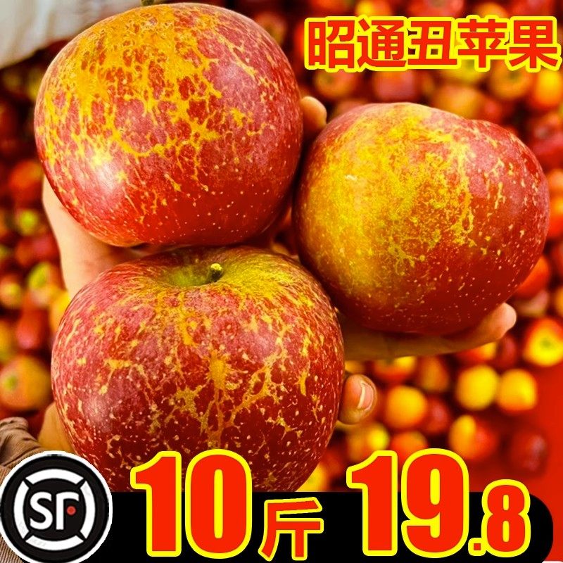正宗云南昭通丑苹果新鲜水果冰糖心苹果脆甜大果整箱10斤礼盒顺丰,水产肉类/新鲜蔬果/熟食,苹果,淘宝优惠券,粉丝福利购,淘宝优惠卷