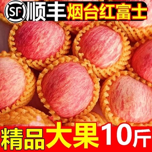正宗山东烟台红富士苹果新鲜水果栖霞丑苹果糖心整箱10斤礼盒顺丰