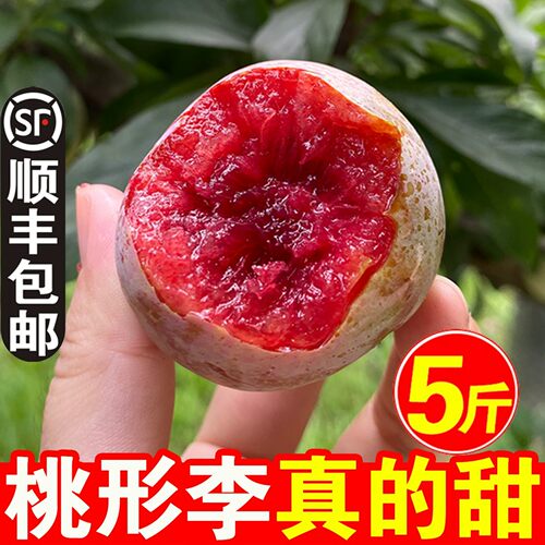 【顺丰包邮】嵊州桃形李脆甜礼盒