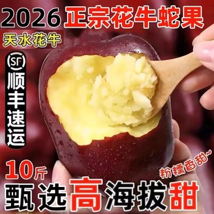 正宗甘肃天水花牛苹果蛇红果面粉脆沙甜新鲜水果整箱10斤礼盒顺丰