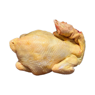 正宗清远阳山土鸡大公鸡农家散养走地鸡阉鸡新鲜现杀大扇鸡月子鸡