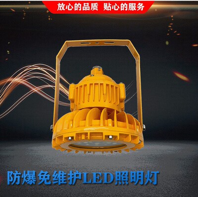 防爆LED指示灯BLD21020W-120W