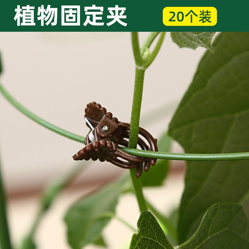 现货速发西瓜爬藤架园艺花架支架植物攀爬架包塑钢管室内外铁线莲