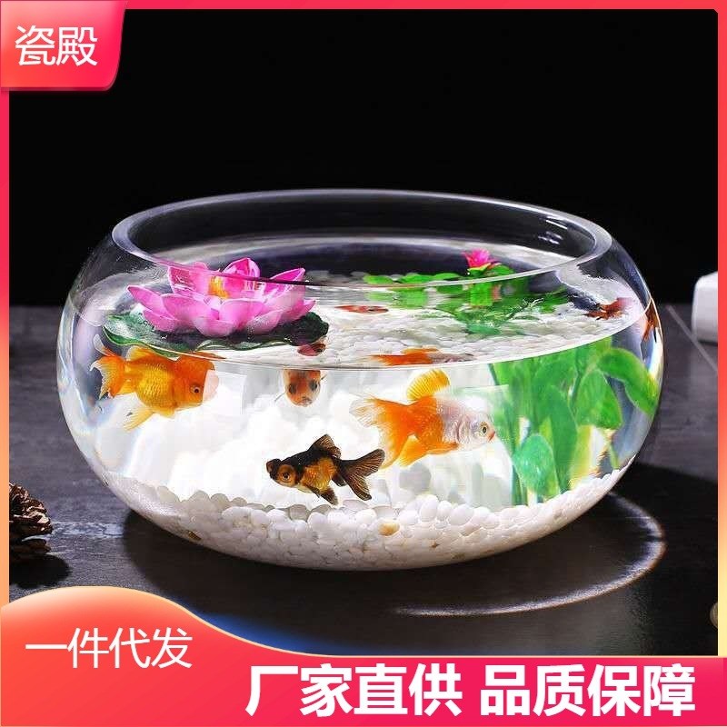 现货速发碗莲盆水仙花盆圆形透明水培铜钱草花盆鱼缸玻璃缸简约