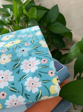 速发掌柜推荐套新疆长绒棉枕套三件套 *50225m枕 一对 全棉加厚