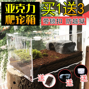 速发爬虫明养盒箱透饲虫克力蜘蛛守宫角蛙甲亚乌龟造景爬宠饲养盒