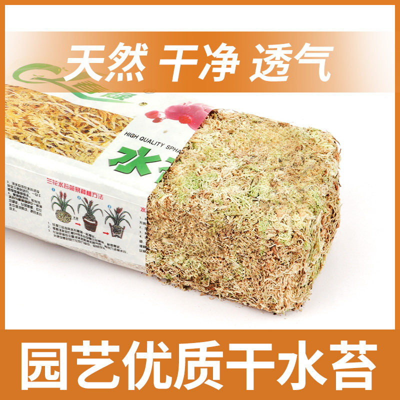 速发水苔兰蝶兰蝴花兰养土文心营石斛优质干苔藓乌龟爬宠垫材