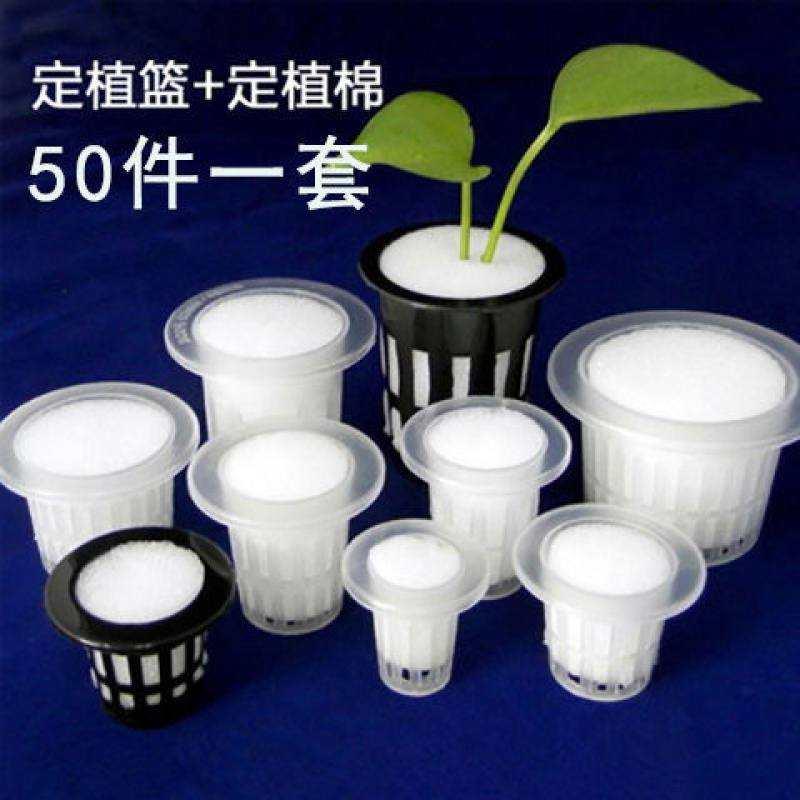 速发水培器皿塑料杯培器皿定植篮水耕栽培苗备塑料育设块定植水加