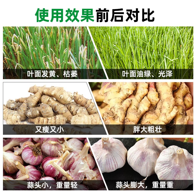 速发葱增蒜姜肥根壮苗旺株叶面肥大蒜生姜小葱黄韭菜通用缓释肥料