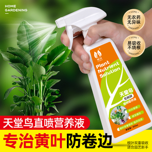 速发免内释鸟肥料黄叶卷边用植通绿家用室稀盆栽养花卉营养液