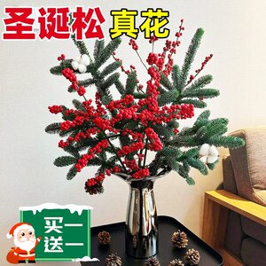 速发红贝松真料2025新款圣诞树北美冬青诺果装饰材树鲜切插花