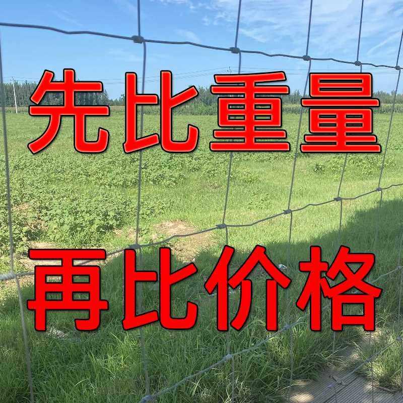 速发镀锌牛栏网铁丝网围栏钢丝网户外拦牛羊养殖网养鸡围养网防护