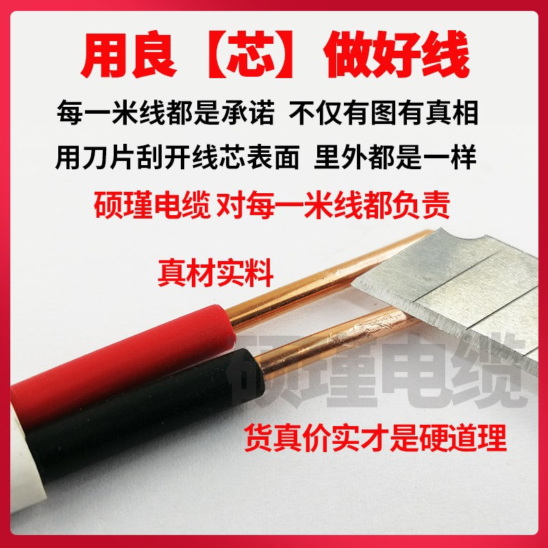 护套线铜线国标2芯电线家用纯铜电源线1.5/2.5/4/6平方电线铜芯线