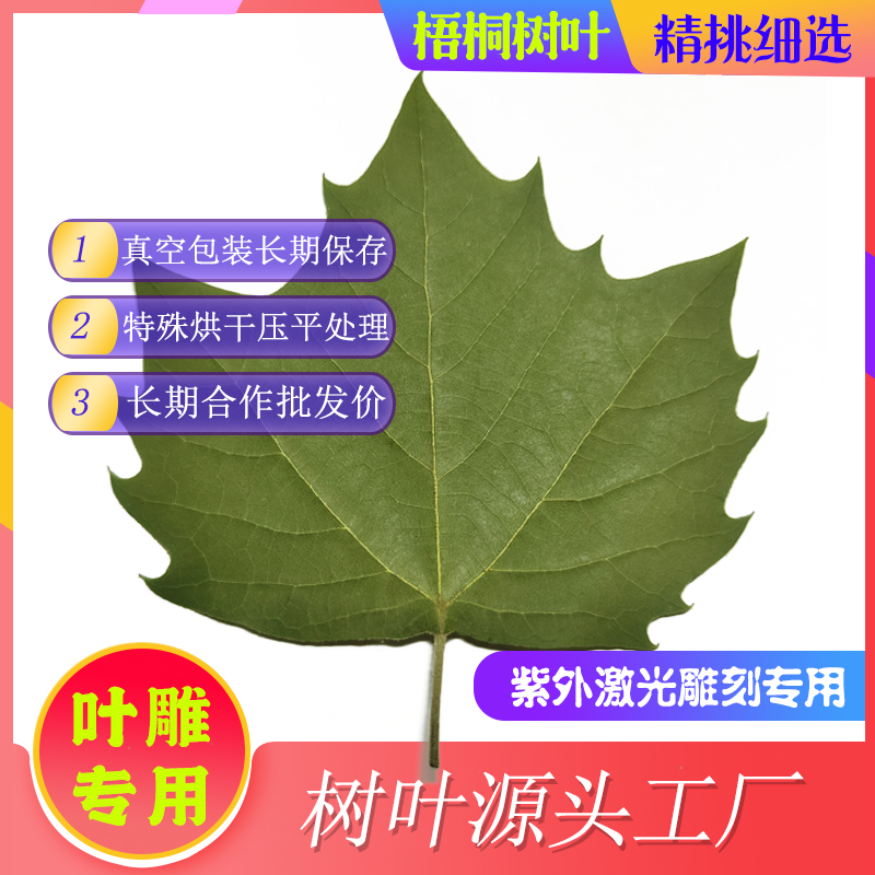 梧桐树叶平安叶手工叶雕激光雕刻