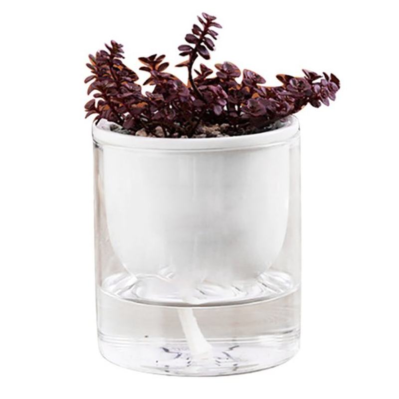 2pcs Watering Planter Transparent Self Watering Plant Flower