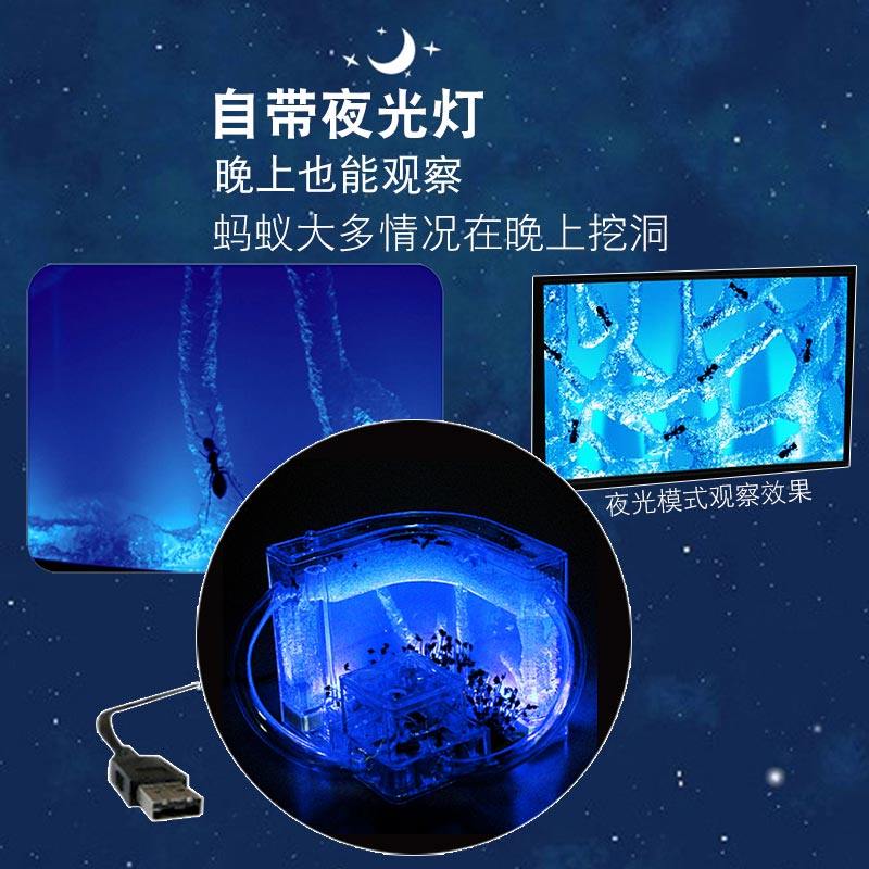蚂蚁工坊宠物蚂蚁桌蚁窝宫殿城堡蚂家园蚁养后别墅面饲蚁巢幼儿园