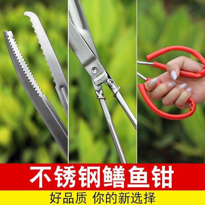 黄鳝夹子不锈钢鳝鱼钳泥鳅螃蟹夹子赶海神器抓捉专用工具控鱼器