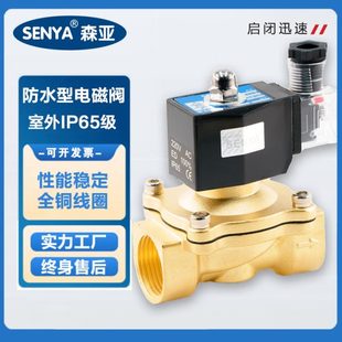 气阀 4分室外防水节能电磁阀专用防雾电磁阀水阀 6分1寸1寸半2寸