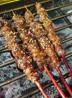 买500送100红柳烤q肉签子红柳签肉签羊肉串红柳枝木签烧烤红柳签