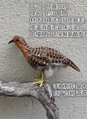 仿真竹鸡户外装饰摆件橱窗美陈造景H布局道具教学演示外拍摄影