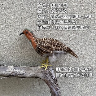 仿真竹鸡户外装饰摆件橱窗美陈造景H布局道具教学演示外拍摄影