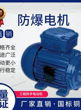 WEG防爆电机 万高防爆电机防爆电机三相异步电动机 EXDII BT4防爆