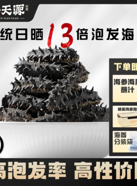 大连传统日晒淡干海参干货深海底播辽刺参旗舰店高泡发500g